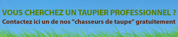 chasseur de taupe à votre service